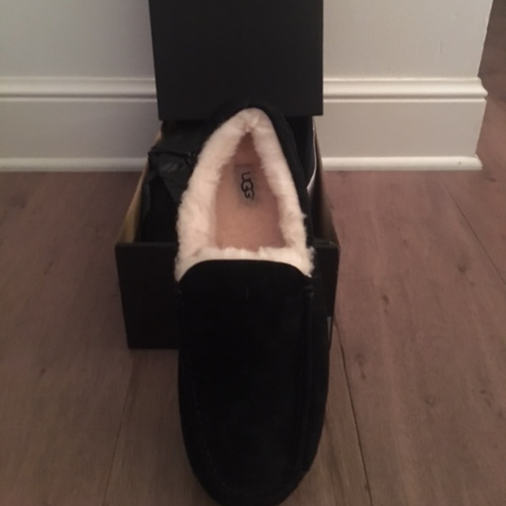 Mens Ugg Ascott Loafers